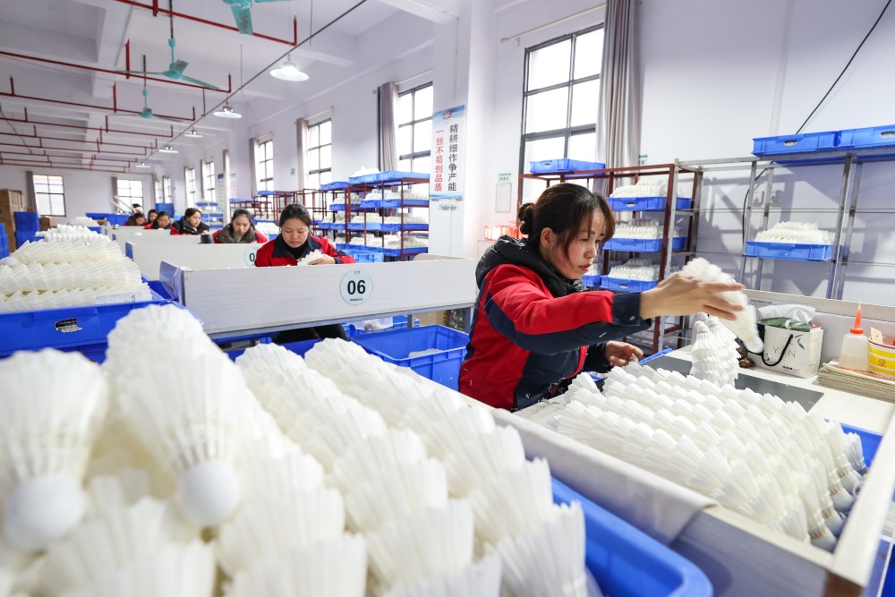 貴州錦屏縣的羽毛球產量，規模愈做愈大，產量也倍速增長，圖中為當地一間羽毛球工廠。